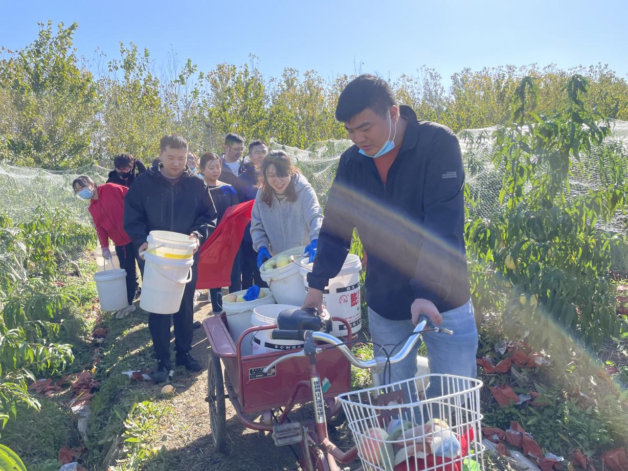 采摘活动1.jpg